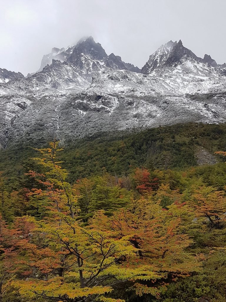 Torres del Paine, Chile, 2018