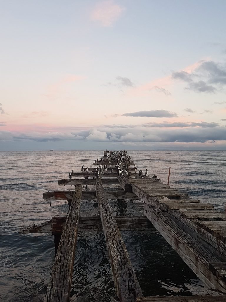 Punta Arenas, Chile, 2018