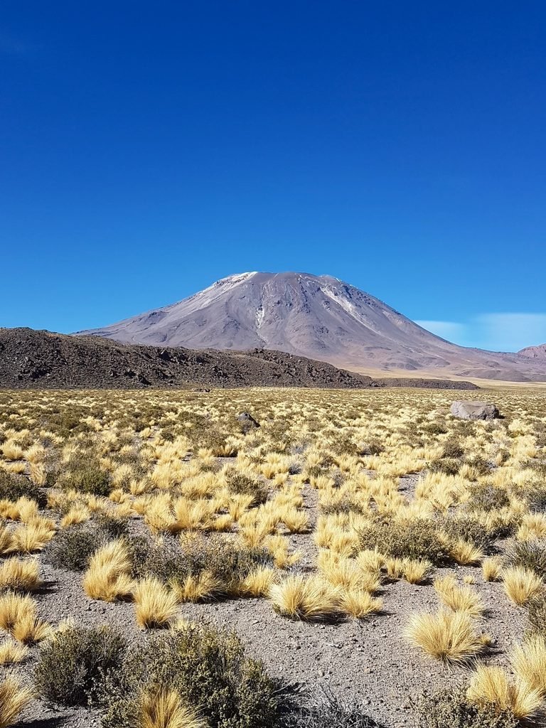San Pedro de Atacama, Chile, 2019