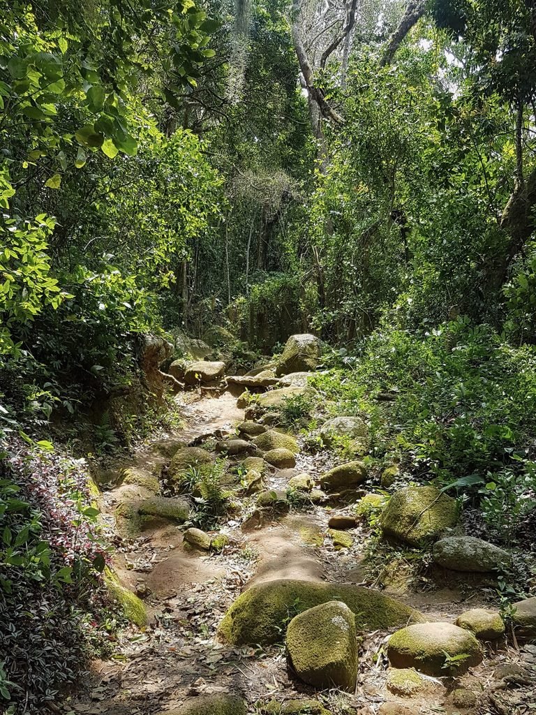 Florianópolis, Brasil, 2019