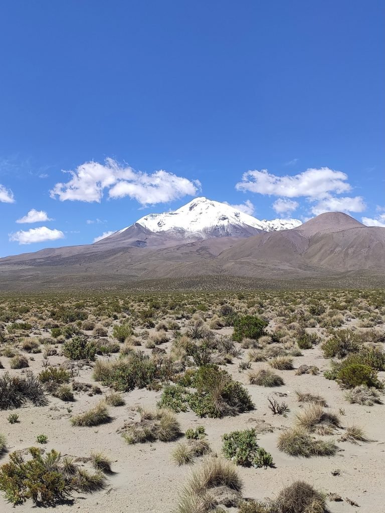Iquique, Chile, 2020