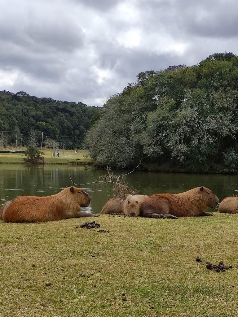 Curitiba, Brasil, 2021